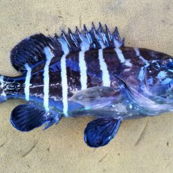 ジギング釣り果